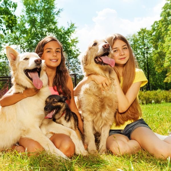 Dinesh Pet Grooming Parlor