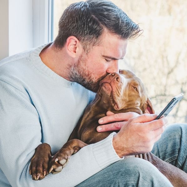 Pet Grooming in Cuddalore